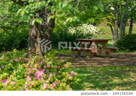 table bench in the shade table bench in the shade 104156584