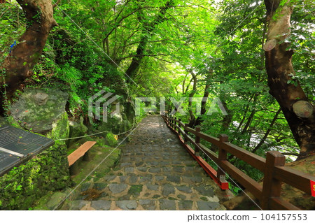 Beautiful touristic scenery of Cheonjeyeon Waterfall, a famous tourist attraction in Jeju Island. Beautiful touristic scenery of Cheonjeyeon Waterfall, a famous tourist attraction in Jeju Island. 104157553