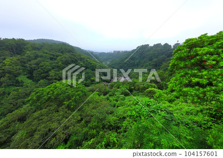 Beautiful touristic scenery of Cheonjeyeon Waterfall, a famous tourist attraction in Jeju Island. Beautiful touristic scenery of Cheonjeyeon Waterfall, a famous tourist attraction in Jeju Island. 104157601
