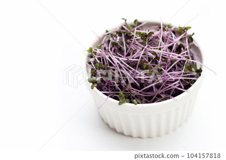Organic red cabbage sprouts on white background. Organic red cabbage sprouts on white background. 104157818