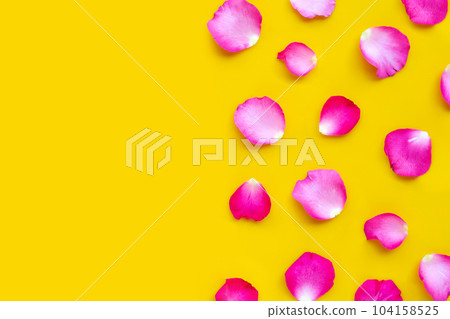 Rose petals on yellow background. 104158525