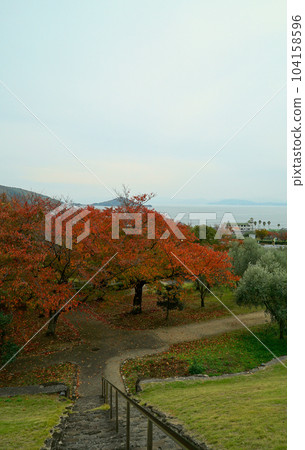 Olive Park_Shodoshima 104158596