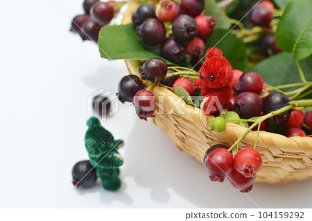 籃子裡的 Juneberry 水果和泰迪熊 104159292