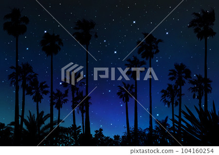 仰望夏日的夜空,棕櫚樹和星空的風景 仰望夏日的夜空,棕櫚樹和星空的風景 104160254