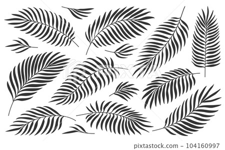 Tropical palm leaves. Jungle foliage black silhouette set isolated on white. Exotic nature plant leaf for wedding greeting cards foil DIY laminating wrappers. Hand drawn tropic summer floral stamp Tropical palm leaves. Jungle foliage black silhouette set isolated on white. Exotic nature plant leaf for wedding greeting cards foil DIY laminating wrappers. Hand drawn tropic summer floral stamp 104160997