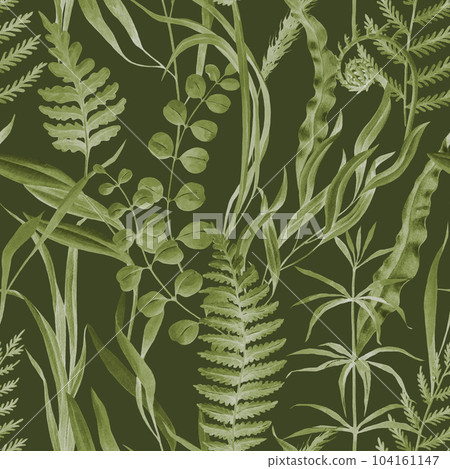 Green forest fern leaves and grass seamless pattern. Watercolor illustration. Hand drawn forest nature decor. Fern, grass, herbs, leaves seamless pattern. Lush greenery decor. Dark background Green forest fern leaves and grass seamless pattern. Watercolor illustration. Hand drawn forest nature decor. Fern, grass, herbs, leaves seamless pattern. Lush greenery decor. Dark background 104161147