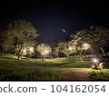 營地夜景 104162054