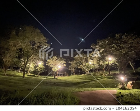營地夜景 104162054