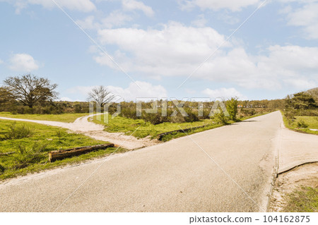 a road in the middle of an open area with trees and bushes on both sides, under a cloudy blue sky a road in the middle of an open area with trees and bushes on both sides, under a cloudy blue sky 104162875