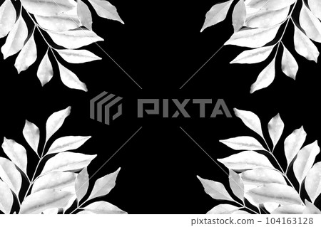 Leaf frame, monochrome plant, white background 104163128