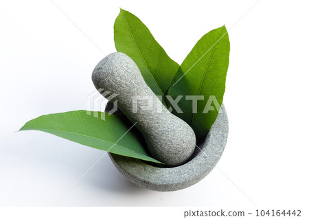 Eucalyptus leaves in mortar with pestle on white background 104164442