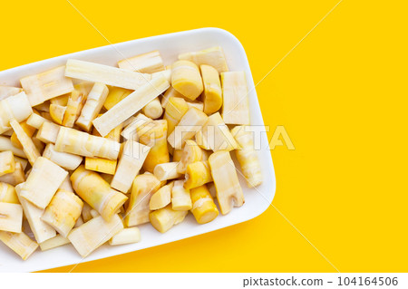 Bamboo shoots on yellow background. 104164506
