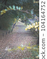 公園路 104164752