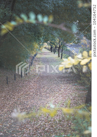 公園路 104164752