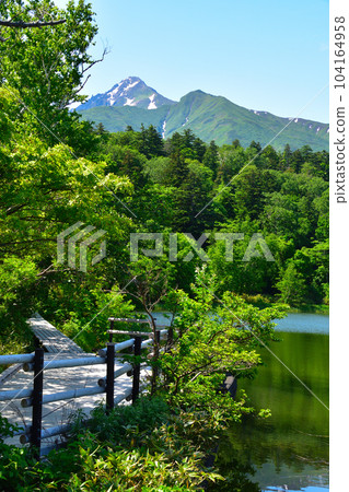 Spring Rishiri Island Himenuma 104164958