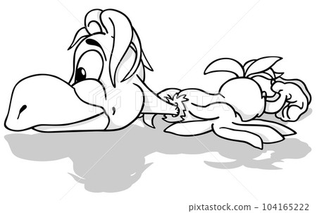 Drawing of a Funny Lying Parrot 104165222