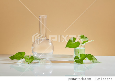 A flat-bottom florence flask, petri dish and a beaker are arranged with a rectangle podium. Using Fish mint (Houttuynia cordata) for acne treatment 104165567