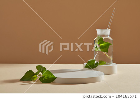 Two round podiums in white color with a jar of fresh fish mint leaves placed on and a vacant space. Fish mint (Houttuynia cordata) can treat a wide range of medical ailments   104165571