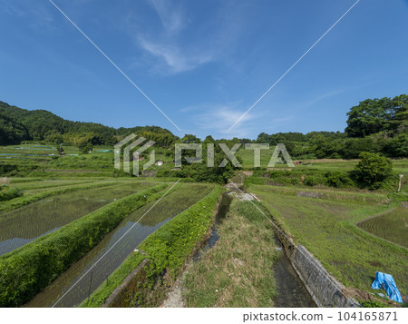 Inabuchi terraced rice field in summer with blue sky Inabuchi terraced rice field in summer with blue sky 104165871