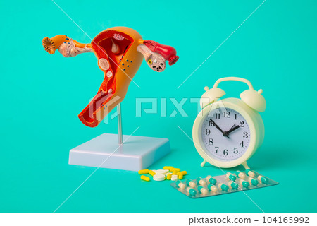 Health check up and disease prevention concept. Model of female reproductive organs and alarm clock with medicines close-up 104165992