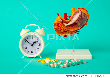 Health check up and disease prevention concept. Anatomical model of human stomach and alarm clock with medicines close-up Health check up and disease prevention concept. Anatomical model of human stomach and alarm clock with medicines close-up 104165993