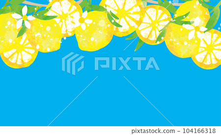 Refreshing lemon cute illustration background Refreshing lemon cute illustration background 104166318