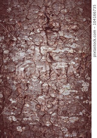 abstract natural antique background. tree trunk closeup 104166735