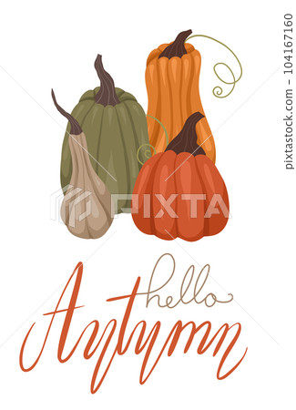 Vertical vector card with pumpkins and lettering. Quote hello autumn. Autumn banner with vegetables Vertical vector card with pumpkins and lettering. Quote hello autumn. Autumn banner with vegetables 104167160