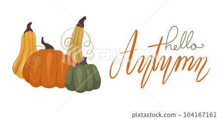 Horizontal vector card with pumpkins and lettering on white background. Quote hello autumn. Autumn banner Horizontal vector card with pumpkins and lettering on white background. Quote hello autumn. Autumn banner 104167161