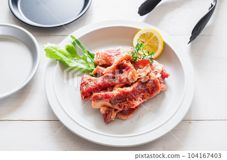 戶外烤調味肉 戶外烤調味肉 104167403