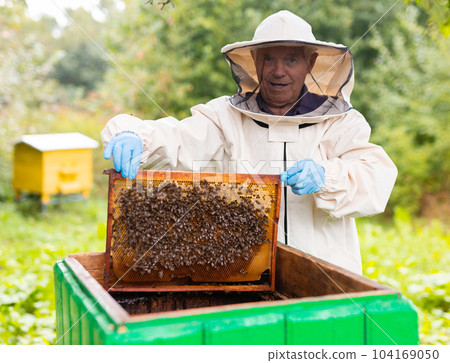 Elderly hiver standing beside hive with hive frame in hands Elderly hiver standing beside hive with hive frame in hands 104169050