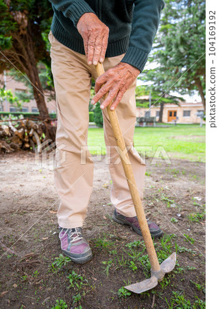 Elder man take care of plants at garden of nursing home for retirement Elder man take care of plants at garden of nursing home for retirement 104169192