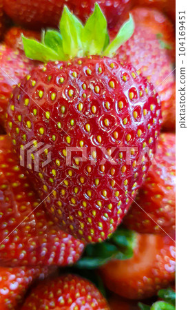 Large ripe strawberry. Homemade fruit preparations for the winter. selective focus. 104169451