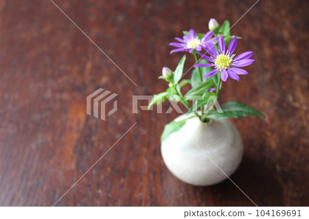 purple flowers in a small vase purple flowers in a small vase 104169691