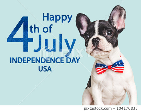 Happy Independence Day. American Flag and cute brown puppy 104170833