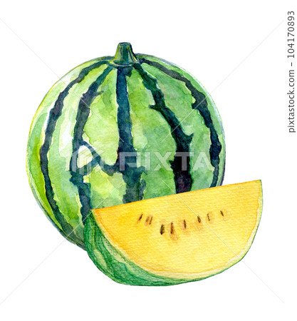 Watercolor illustration, hand-drawn illustration, yellow watermelon Watercolor illustration, hand-drawn illustration, yellow watermelon 104170893