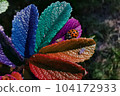 macro micro world 005 104172933