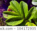 macro micro world 004 104172935