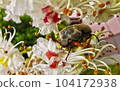 macro micro world 003 104172938