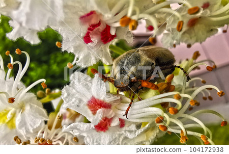 macro micro world 003 104172938