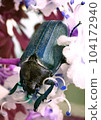 macro micro world 002 104172940
