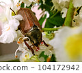 macro micro world 001 104172942