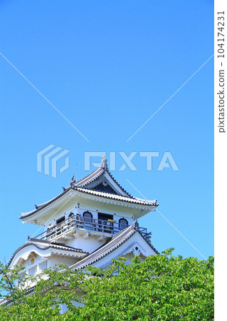 長濱市的風景、新綠和長濱城 長濱市的風景、新綠和長濱城 104174231