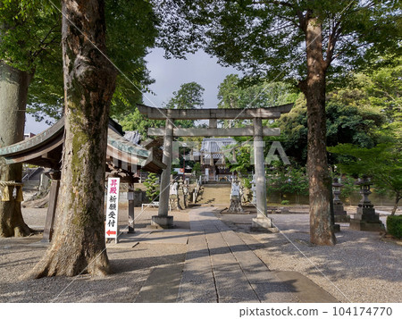 守護埼玉縣深谷市的瀧宮神社夏至上午參拜 104174770