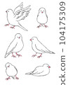 Java sparrow ② 104175309