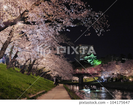 Okazaki Castle and cherry blossoms at night in Aichi Prefecture Okazaki Castle and cherry blossoms at night in Aichi Prefecture 104175647