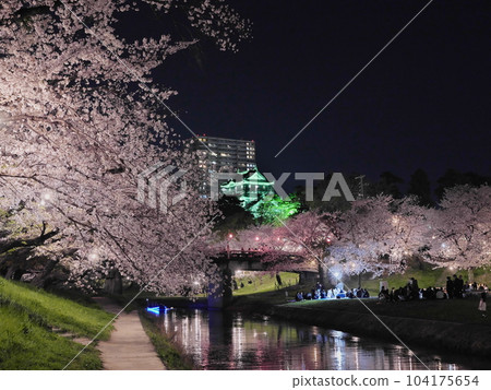 愛知縣岡崎城和夜晚的櫻花 愛知縣岡崎城和夜晚的櫻花 104175654