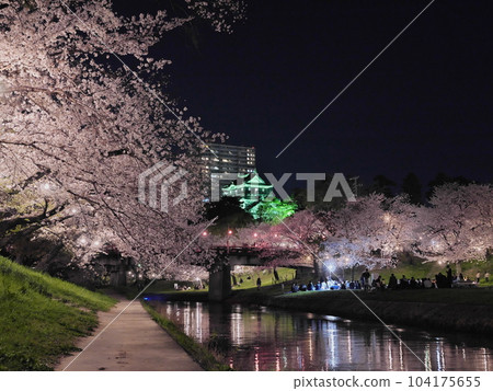 愛知縣岡崎城和夜晚的櫻花 愛知縣岡崎城和夜晚的櫻花 104175655