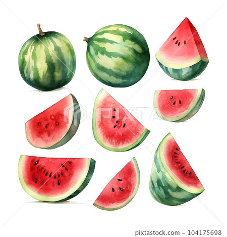 Vintage watermelon watercolor, great design for any purposes 104175698