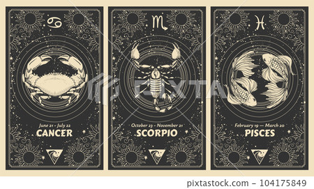 Zodiac signs Cancer, Scorpio, Pisces, water element, mystical astrology card set, horoscope banner with realistic pattern on black background for stories. Vector boho hand drawing, magic design. 104175849